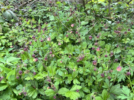 23-05-22 15-10-11 5563